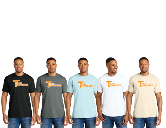 COMFORT COLOR T-SHIRT